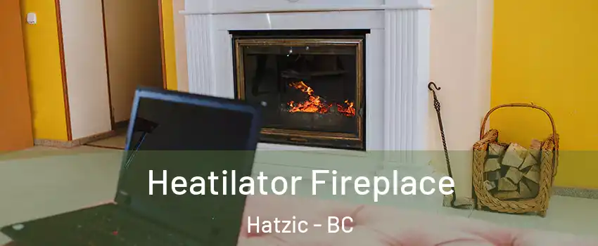  Heatilator Fireplace Hatzic - BC