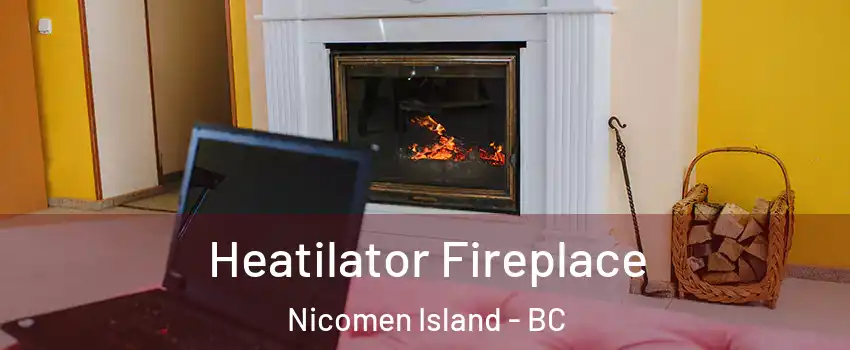  Heatilator Fireplace Nicomen Island - BC