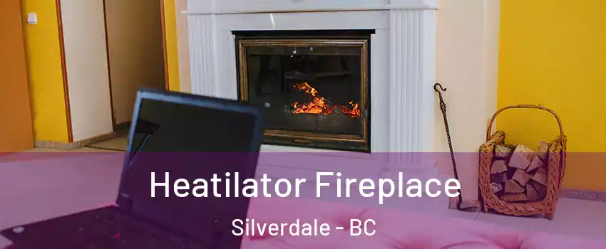  Heatilator Fireplace Silverdale - BC