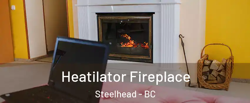  Heatilator Fireplace Steelhead - BC