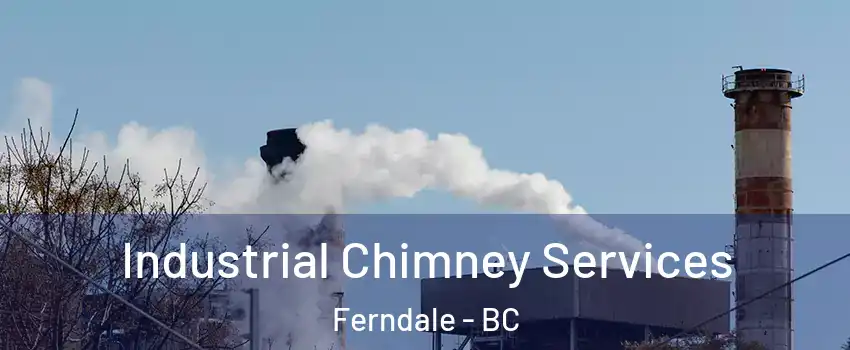  Industrial Chimney Services Ferndale - BC