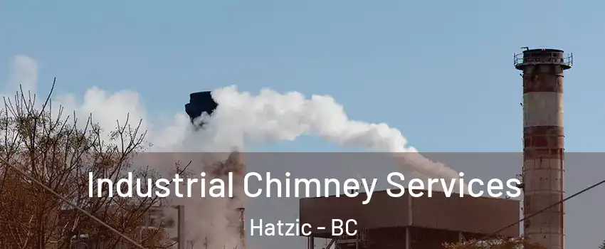  Industrial Chimney Services Hatzic - BC