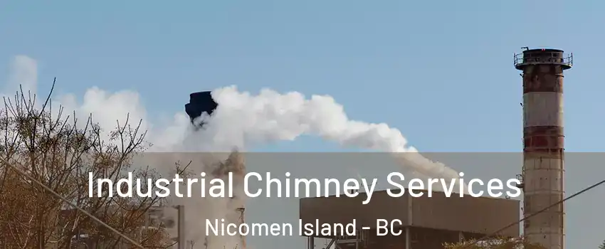  Industrial Chimney Services Nicomen Island - BC
