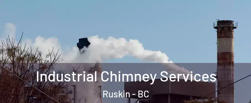  Industrial Chimney Services Ruskin - BC