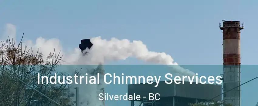  Industrial Chimney Services Silverdale - BC