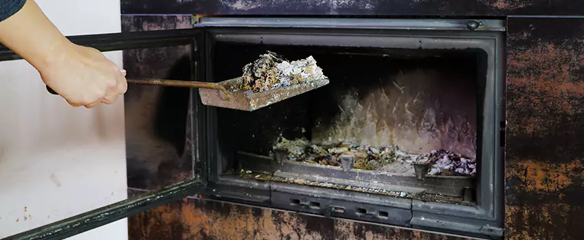 Wood Burning Chimney Odor Removal in Silverdale, British Columbia