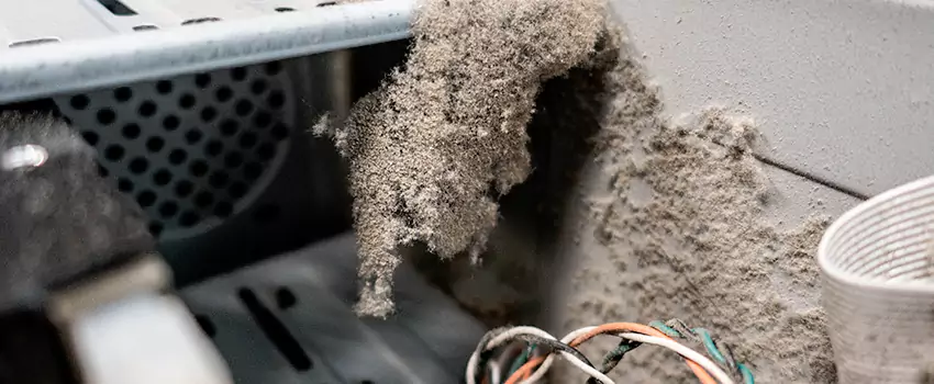 Clogged Dryer Vent Lint Cleaning in Silverdale, British Columbia