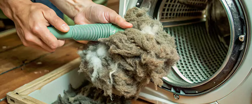 Best Dryer Lint Removal Company in Silverdale, British Columbia