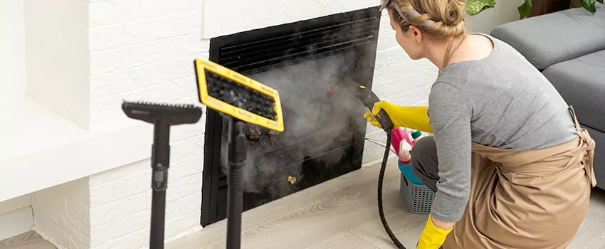 Fireplace Doors Cleaning in Silverdale, British Columbia