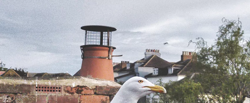 Chimney Cap Bird Guard Repair in Silverdale, British Columbia
