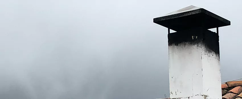 Multi-flue Chimney Caps Installation And Repair in Silverdale, BC