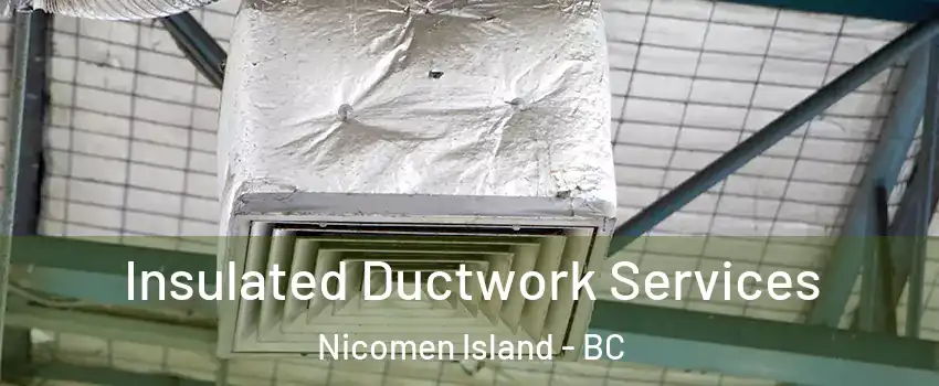  Insulated Ductwork Services Nicomen Island - BC