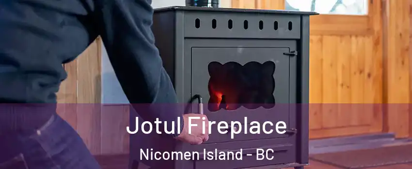  Jotul Fireplace Nicomen Island - BC