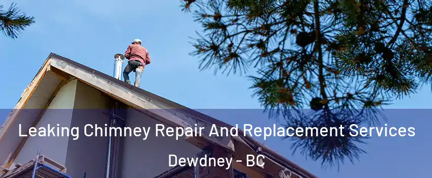  Leaking Chimney Repair And Replacement Services Dewdney - BC