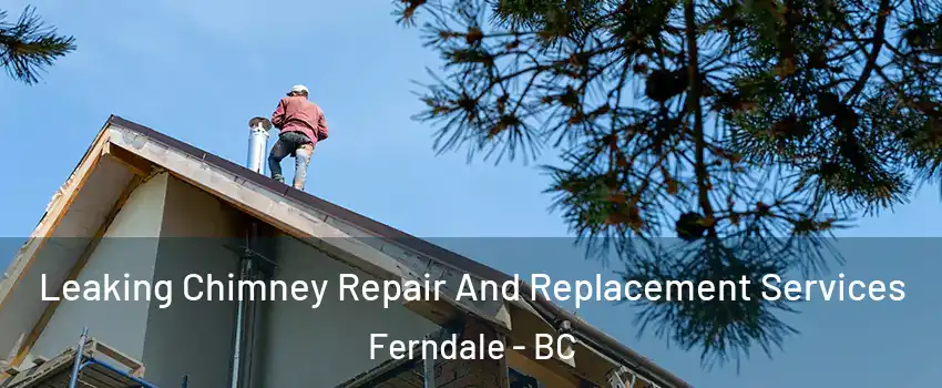  Leaking Chimney Repair And Replacement Services Ferndale - BC