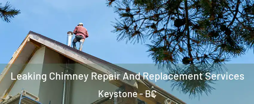  Leaking Chimney Repair And Replacement Services Keystone - BC