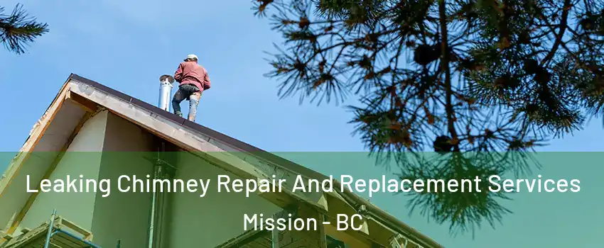  Leaking Chimney Repair And Replacement Services Mission - BC