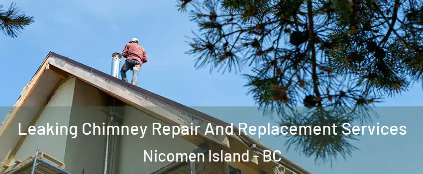  Leaking Chimney Repair And Replacement Services Nicomen Island - BC
