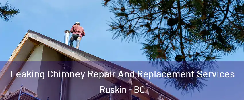  Leaking Chimney Repair And Replacement Services Ruskin - BC