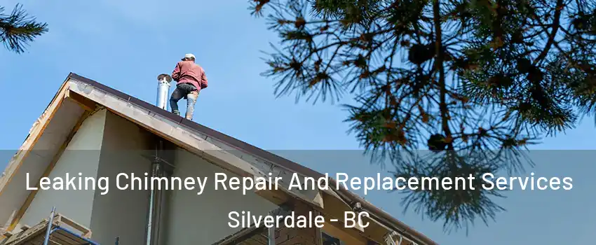  Leaking Chimney Repair And Replacement Services Silverdale - BC
