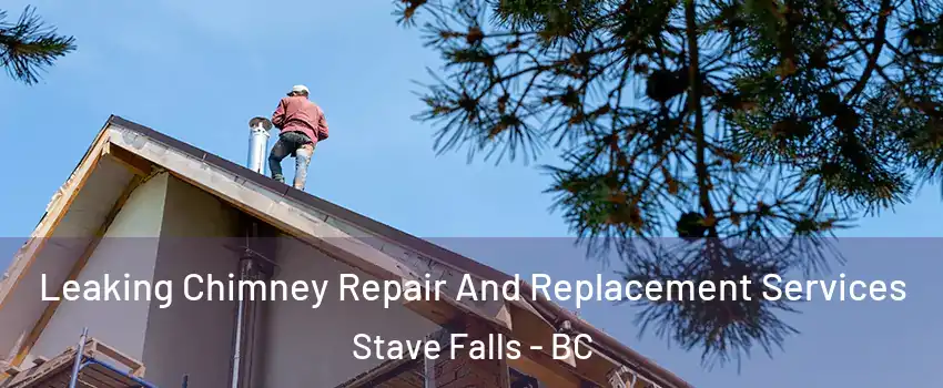  Leaking Chimney Repair And Replacement Services Stave Falls - BC