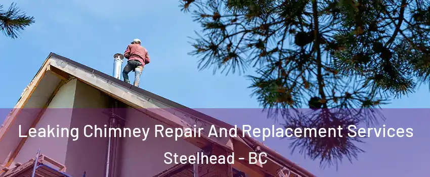  Leaking Chimney Repair And Replacement Services Steelhead - BC