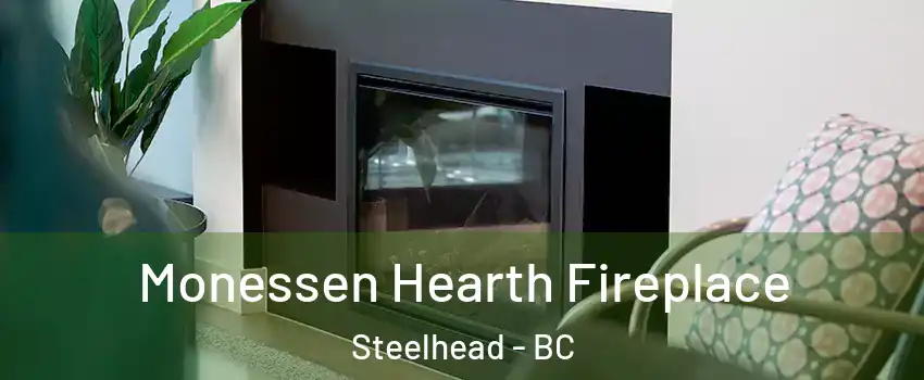  Monessen Hearth Fireplace Steelhead - BC