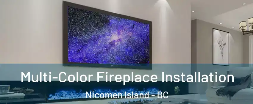  Multi-Color Fireplace Installation Nicomen Island - BC