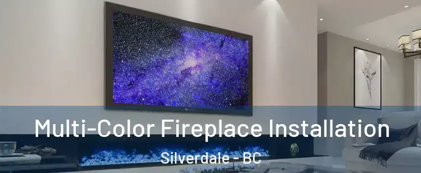  Multi-Color Fireplace Installation Silverdale - BC