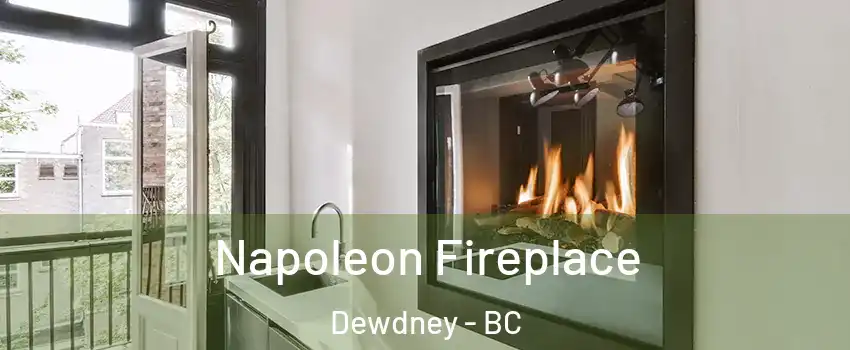  Napoleon Fireplace Dewdney - BC