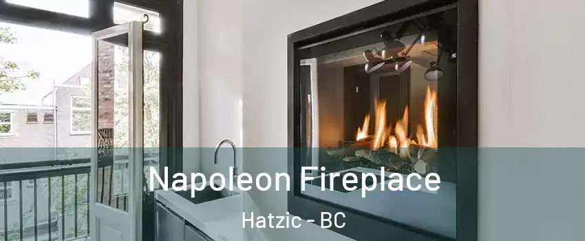  Napoleon Fireplace Hatzic - BC