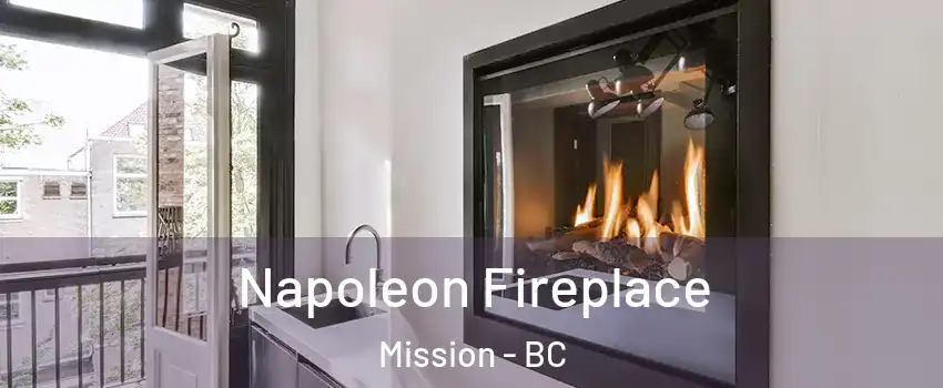  Napoleon Fireplace Mission - BC
