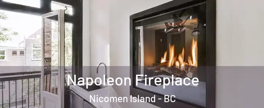  Napoleon Fireplace Nicomen Island - BC