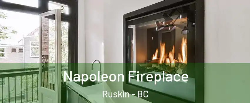 Napoleon Fireplace Ruskin - BC