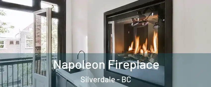  Napoleon Fireplace Silverdale - BC
