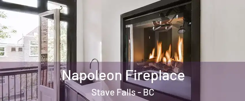  Napoleon Fireplace Stave Falls - BC