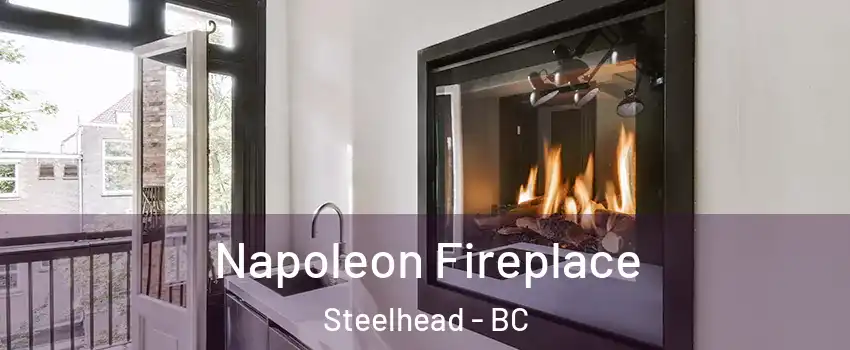  Napoleon Fireplace Steelhead - BC