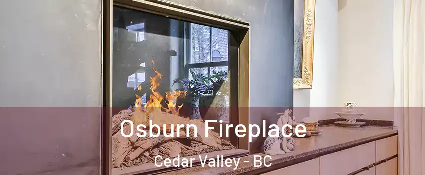  Osburn Fireplace Cedar Valley - BC