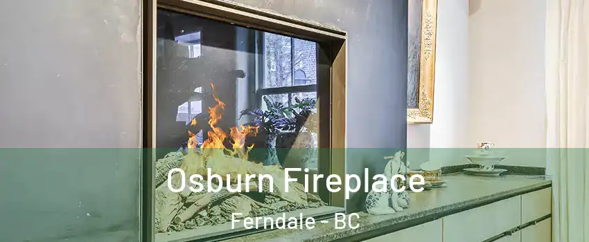  Osburn Fireplace Ferndale - BC