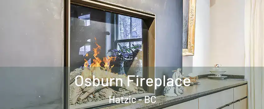  Osburn Fireplace Hatzic - BC