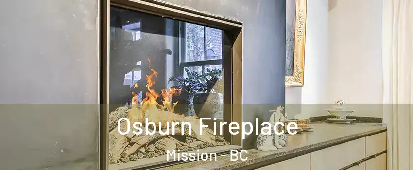  Osburn Fireplace Mission - BC