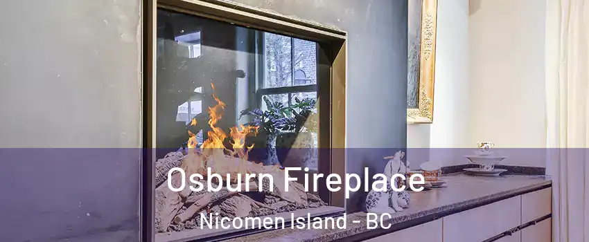  Osburn Fireplace Nicomen Island - BC