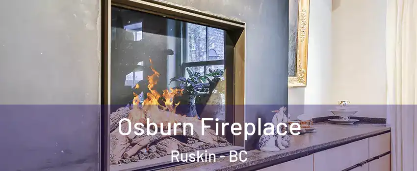  Osburn Fireplace Ruskin - BC