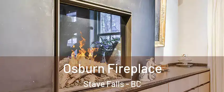 Osburn Fireplace Stave Falls - BC