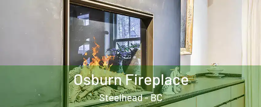  Osburn Fireplace Steelhead - BC