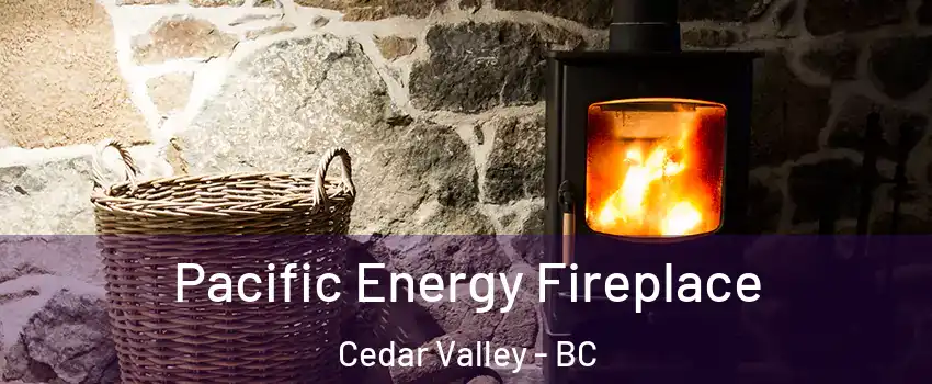  Pacific Energy Fireplace Cedar Valley - BC