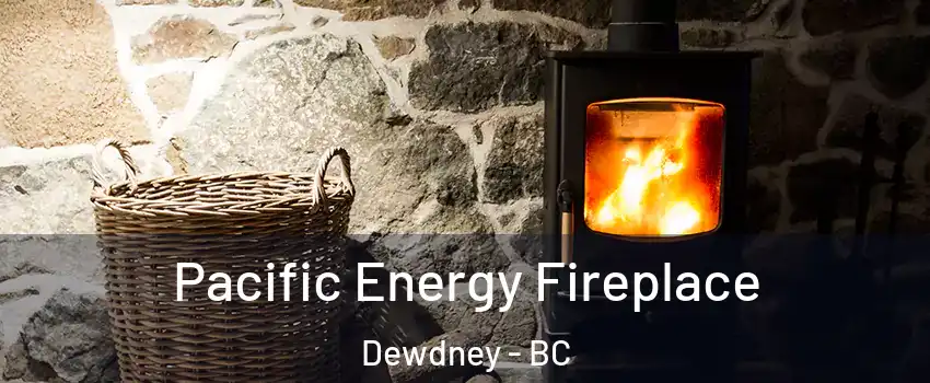  Pacific Energy Fireplace Dewdney - BC