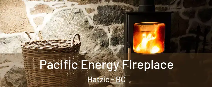 Pacific Energy Fireplace Hatzic - BC