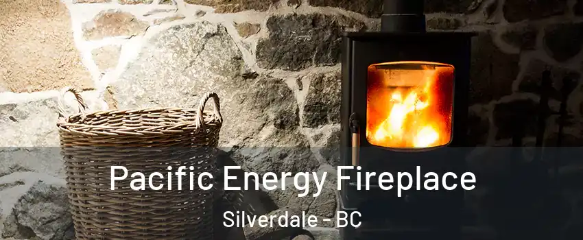  Pacific Energy Fireplace Silverdale - BC