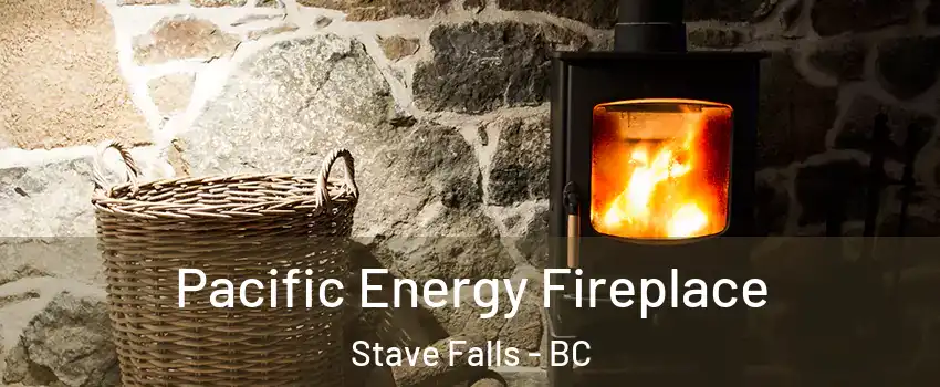  Pacific Energy Fireplace Stave Falls - BC